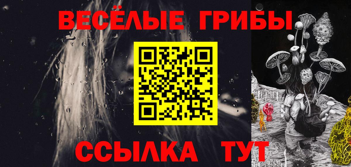 Георгиевск  Галлюциногенные грибы GOLDEN TEACHER  Вход с VPN 